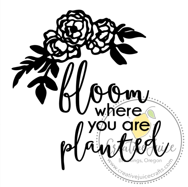Shop all creative juice crafts