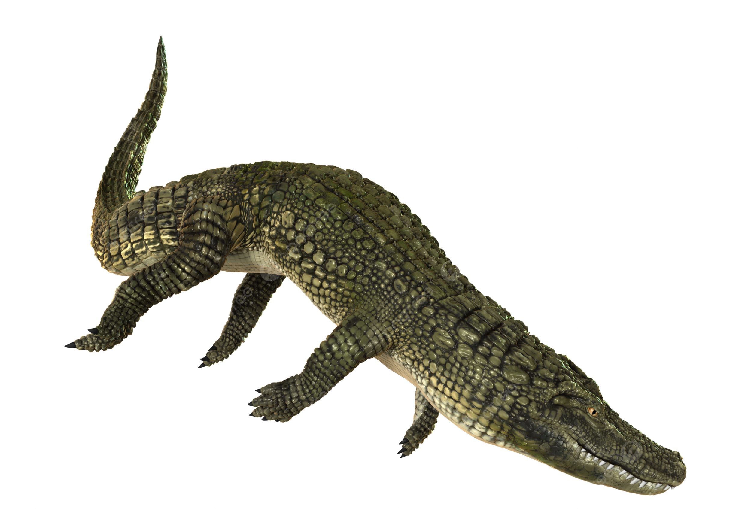 Øªù øøø png øùøµùø ùøùù ù psd øùù ùùøøª øªøù ùù ù øøùù øùù