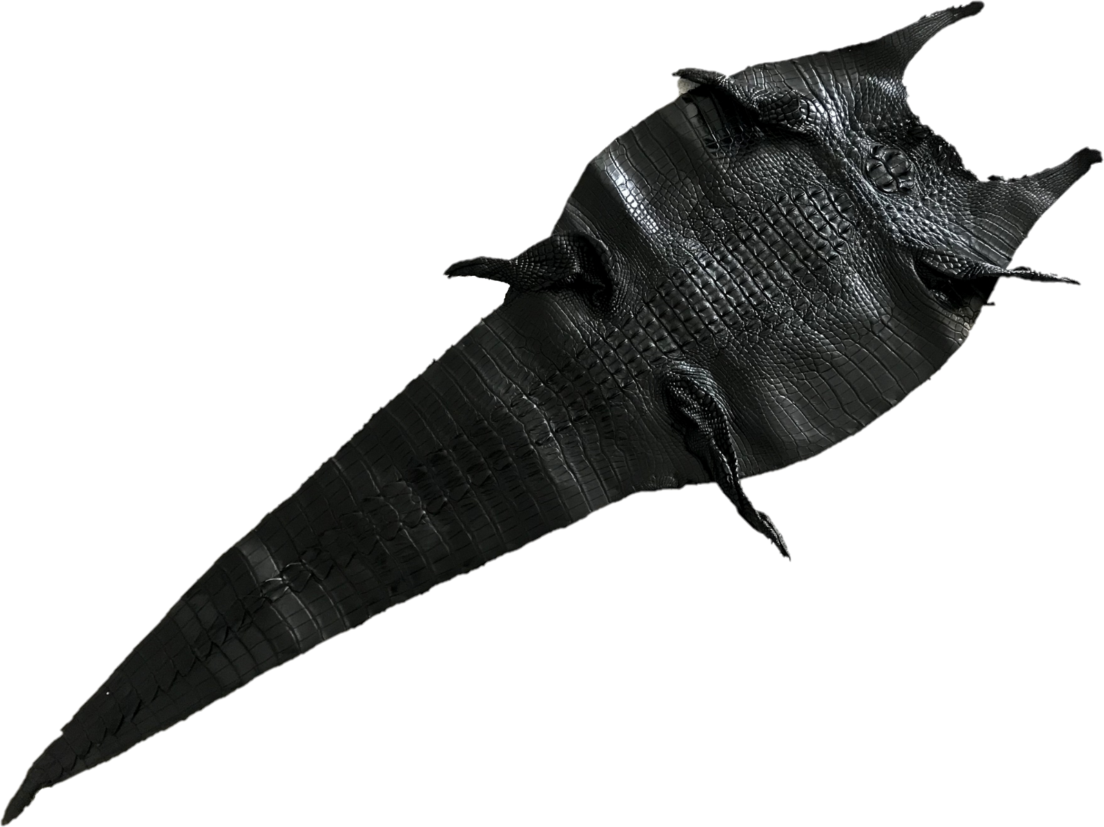 Genuine real alligator crocodile skin leather hide exotic pelt taxidermy craft