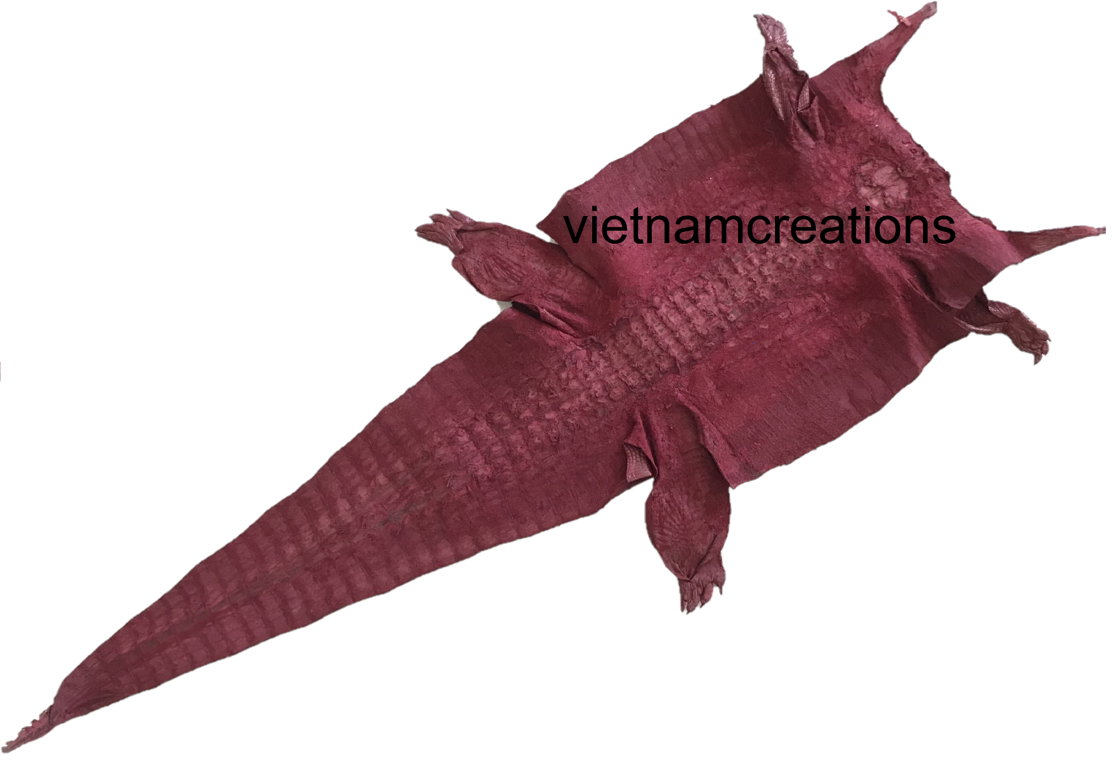 Big size genuine crocodile alligator skin leather hide exotic pelt taxidermy