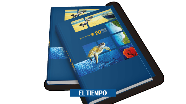 Lanzan agenda para los amantes de los ocãanos