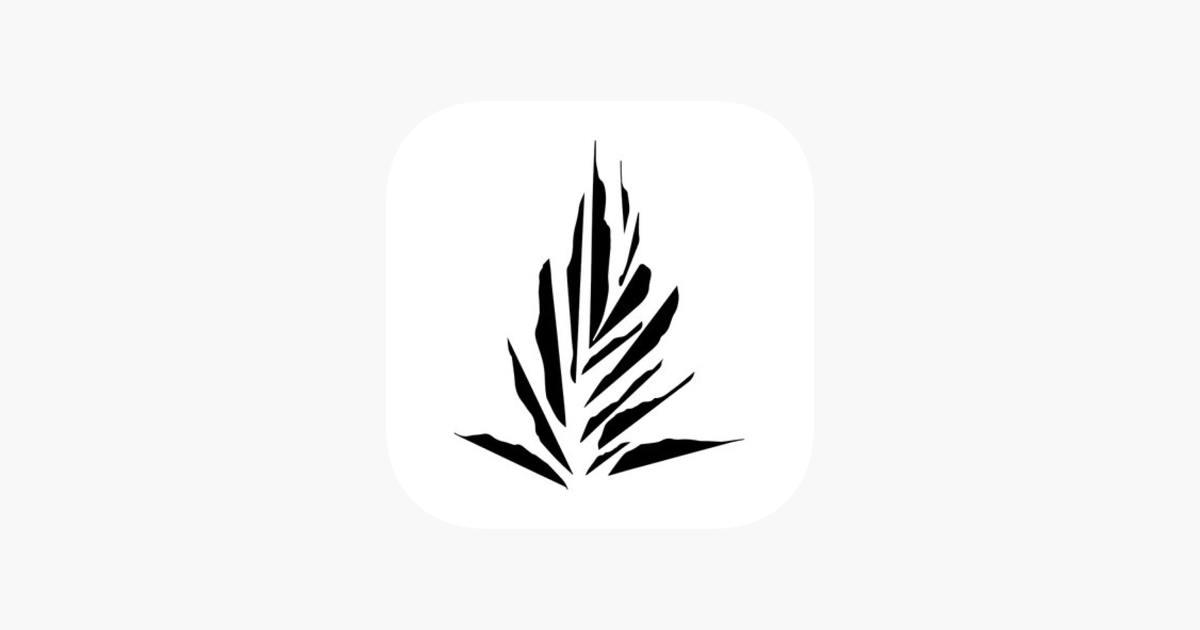 Noho home on the app store