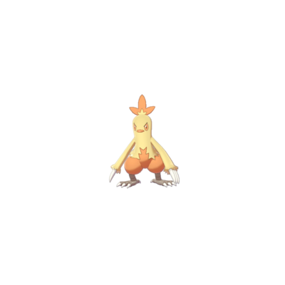 Combusken pokãmon