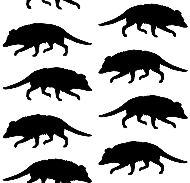 Vector e ilustracion de zarigueyas para dcargar gratis