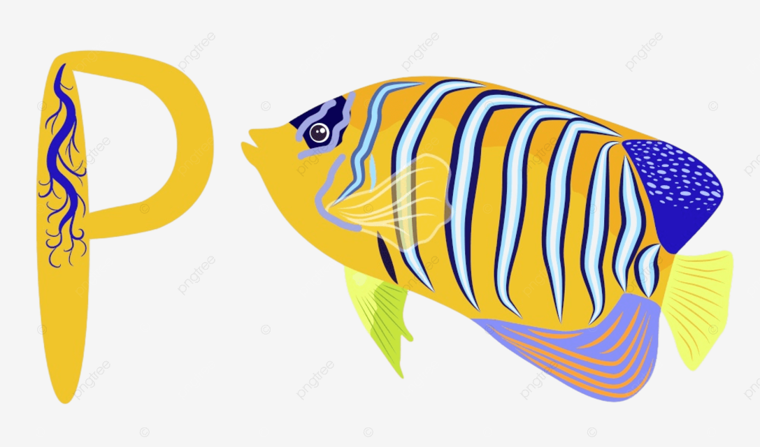 Abc niãos letra pez ãngel pomacanthidae png pomacanthidae animal salvaje png y vector para dcargar gratis