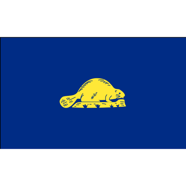 Buy state of oregon flag online the custom windsock pany