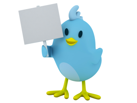 Little bird png transparent images free download vector files