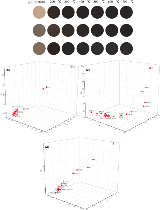 Method to characterize color of biochar and its prediction with biochar yield as model property biochar