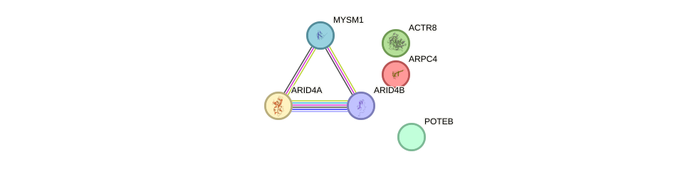 Poteb gene