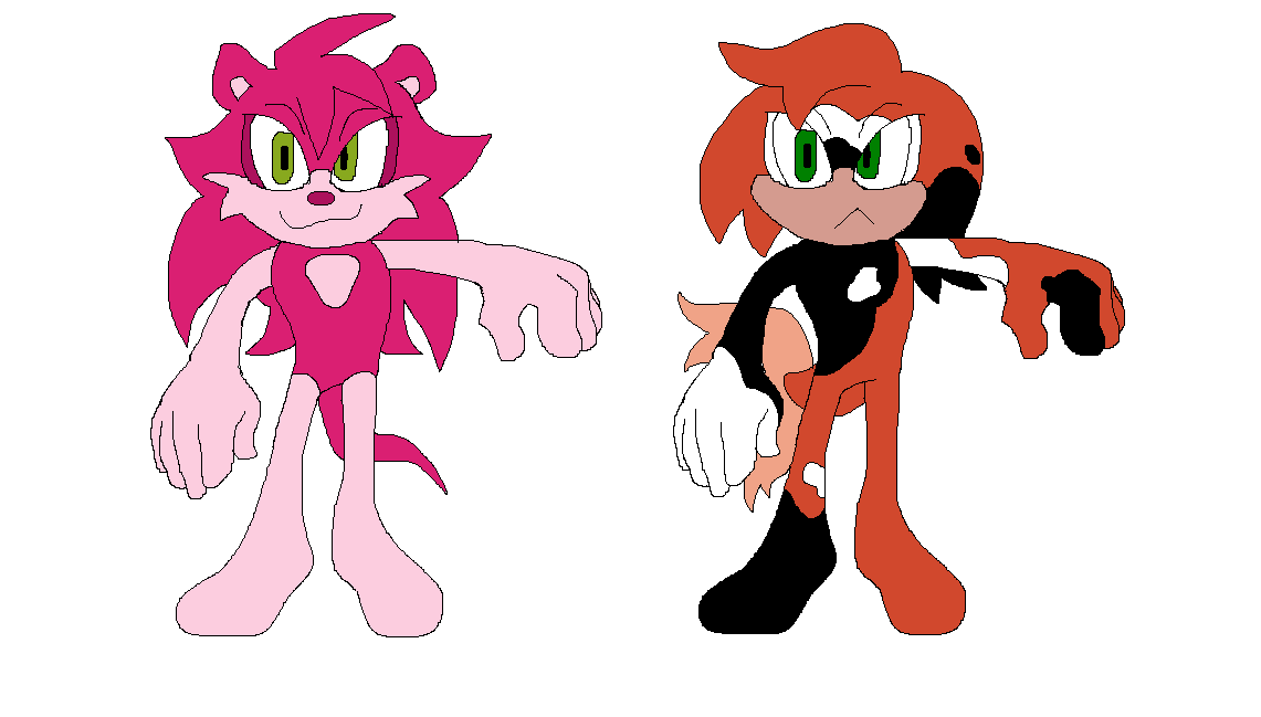 A sonic oc showcase