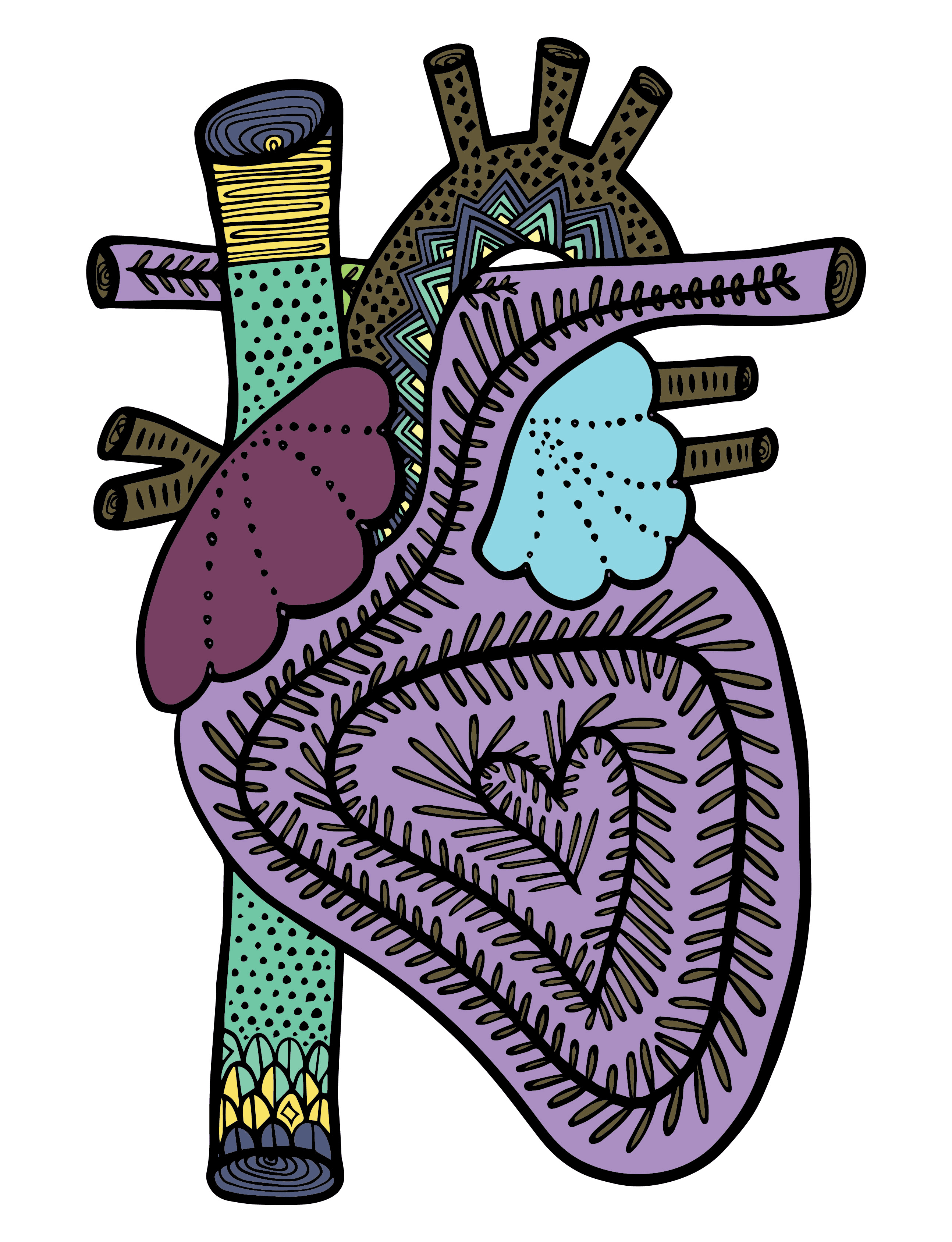 Anatomical hearts