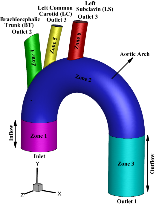 Numerical study of drug delivery through the d modeling of aortic arch in presence of a magnetic field biomechanics and modeling in mechanobiology