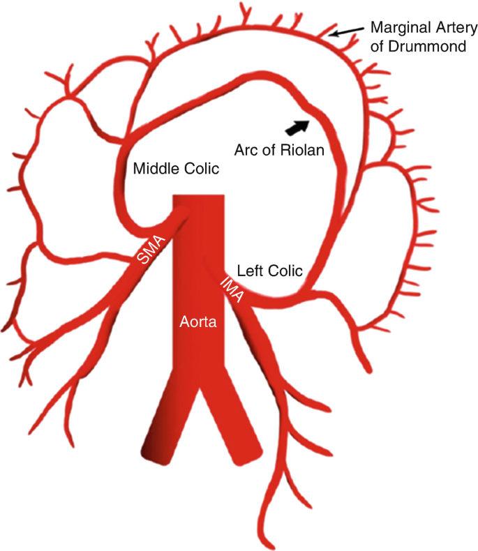 Ischemic disorders of small and large intestine