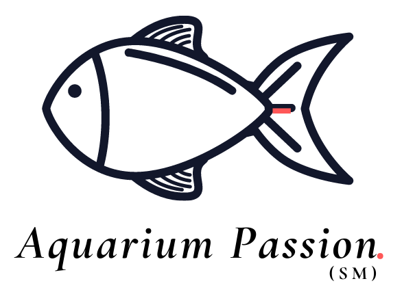 Are goldfish bottom feeders