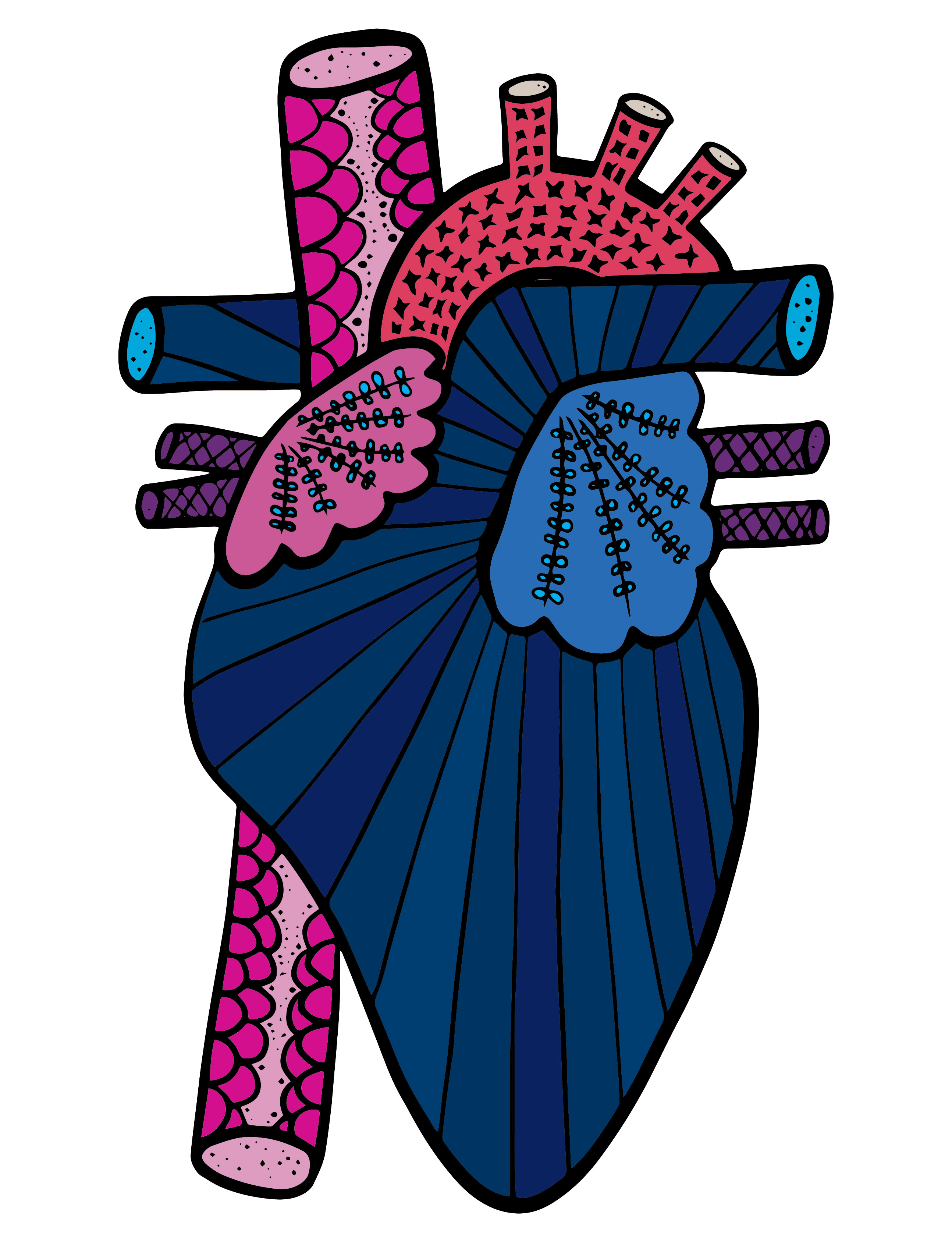 Anatomical hearts