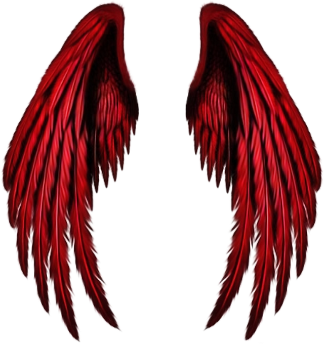Quiz what color are your wings
