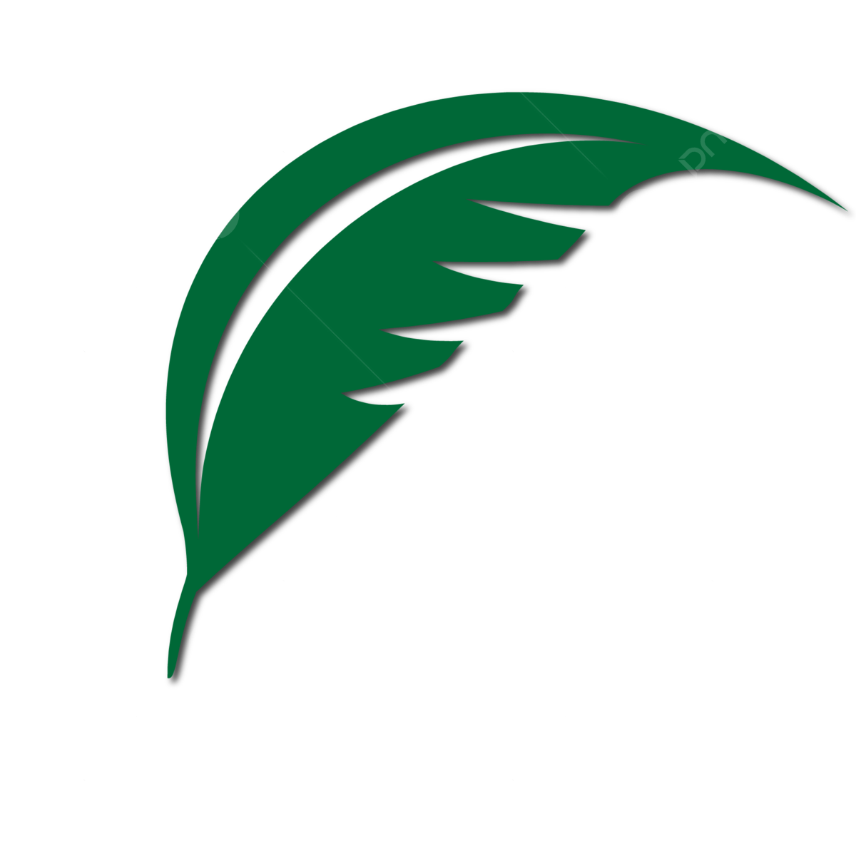 Feather design png transparent images free download vector files