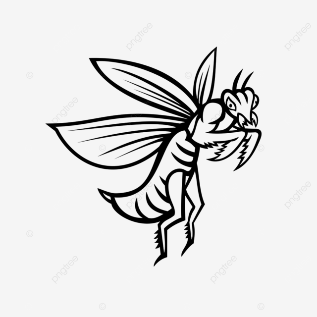 Ilustraciãn de mascota de una mantis religiosa o mantis con los antebrazos doblados volando vistos dde