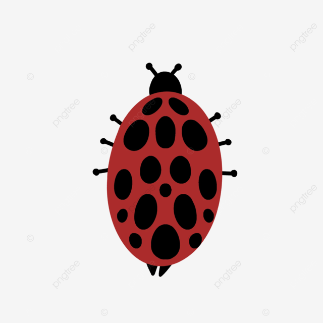 Mariquita dibujo vectorial mariquita png dibujos mariquita mariquita vectorial elementos de mariquita png y psd para dcargar gratis