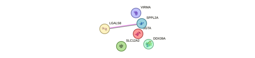 Sppla gene
