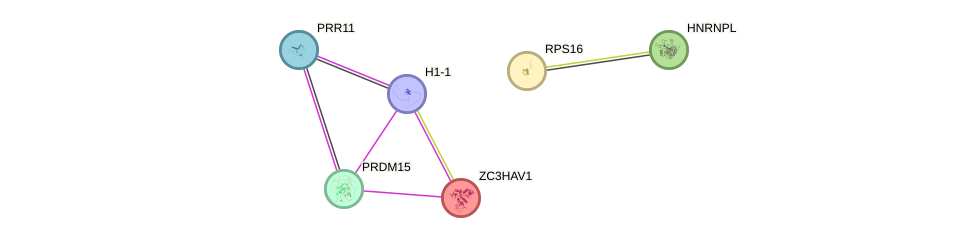 Prdm gene