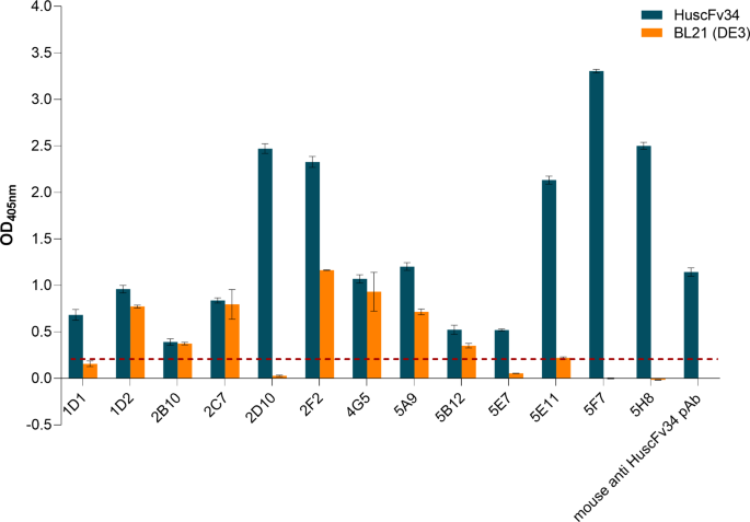 Human super antibody to viral rna