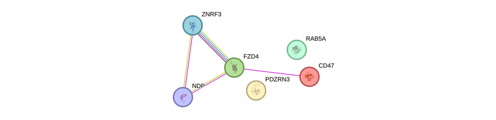 Fzd gene