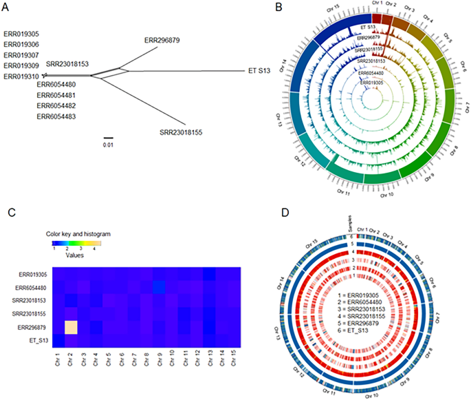 Chromosomal scale assembly reveals localized structural variants in avian caecal coccidian parasite eimeria tenella scientific reports