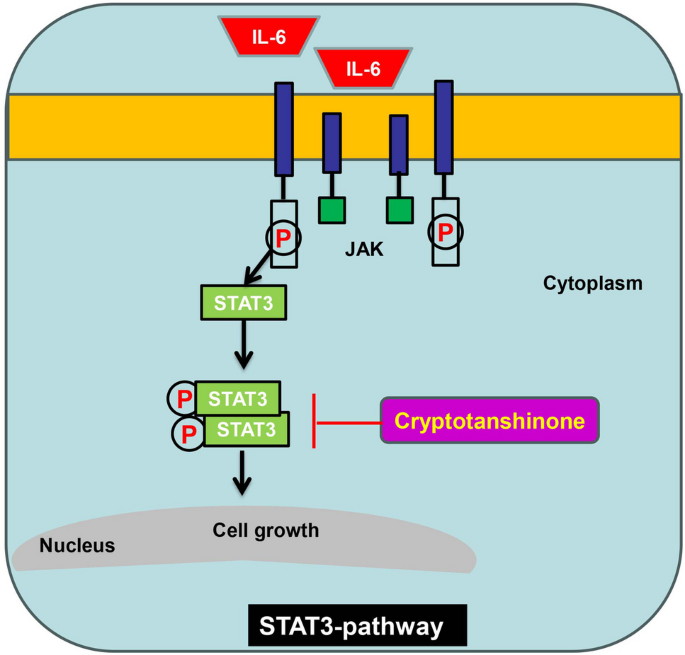 A prehensive review on the effect of natural products on colorectal cancer current pharmacology reports