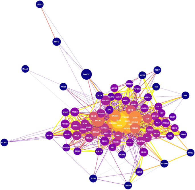 Retroactive data structure for proteinâprotein interaction in lung cancer using dijkstra algorithm international journal of information technology