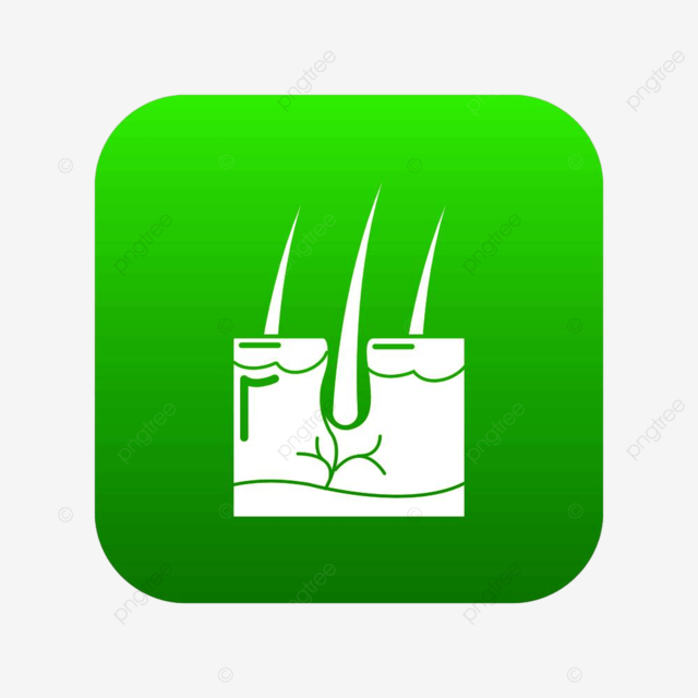 Hair dryer isolated vector hd png images hair skin icon green vector isolated on white background human dermatology flat png image for free download