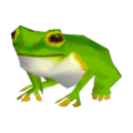Frog fish