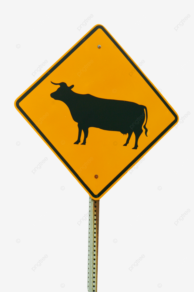 Isolated cattle crossing sign humour highway bull sign png transparent image and clipart for free download
