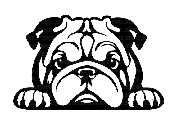 English bulldog peeking dogs svg png cut files dog svg png