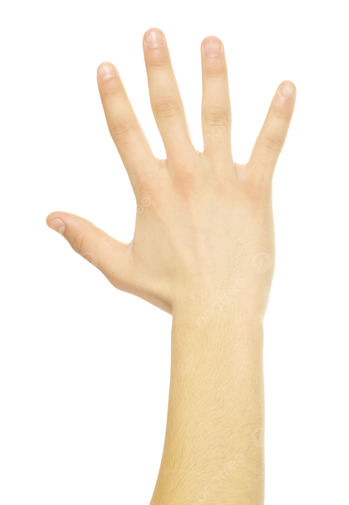 Zero hand gesture png transparent images free download vector files