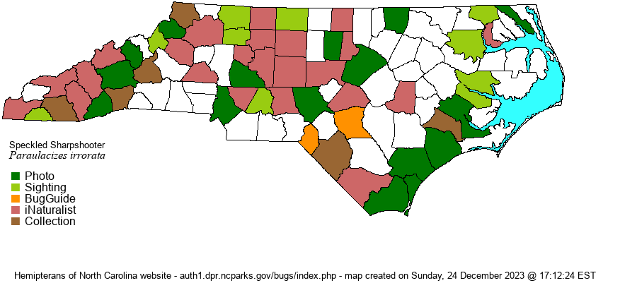 Hoppers of north carolina