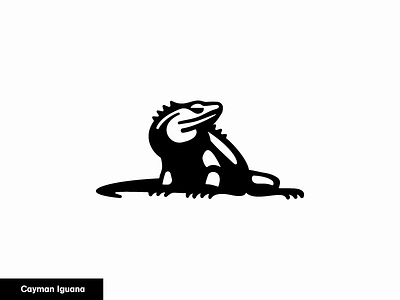 Iguana designs themes templates and downloadable graphic elements on