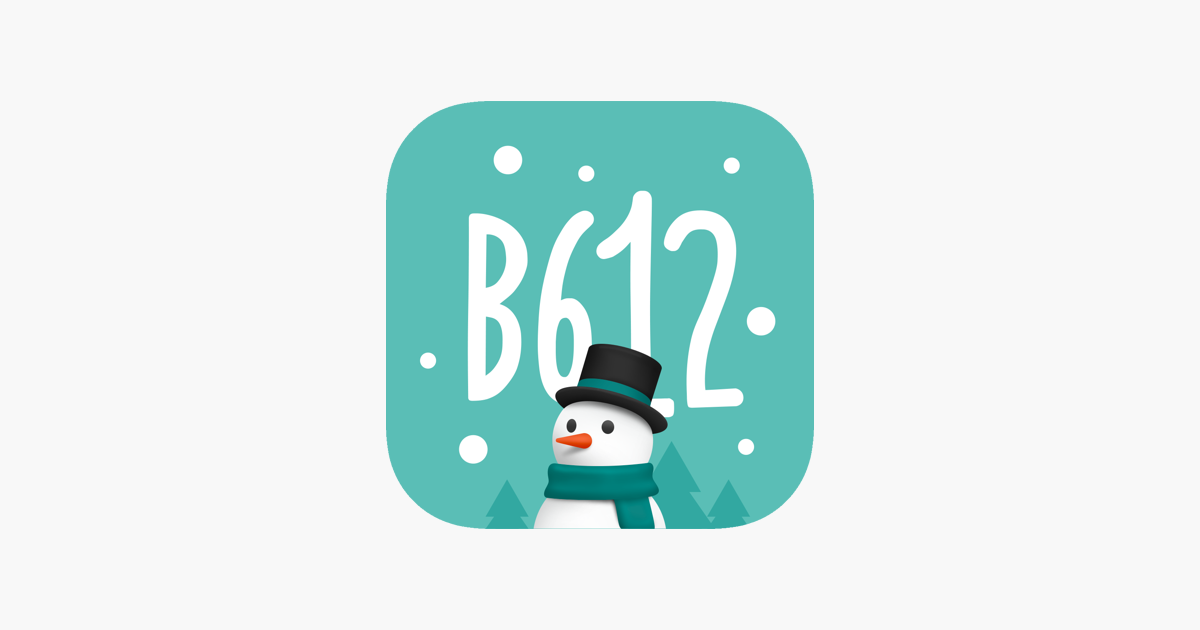 B ai photovideo editor on the app store