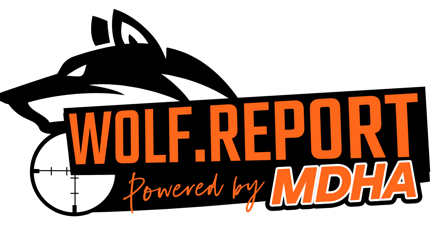 Minnesota deer hunters association teams up with wolf report for innovative citizen science project news