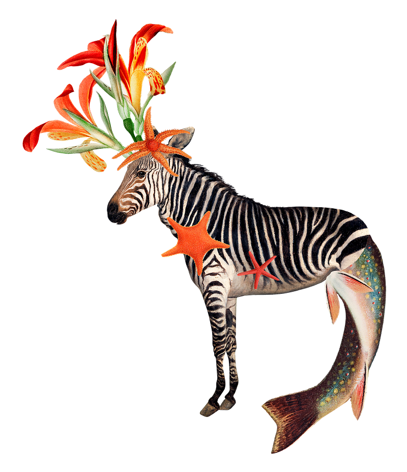 Vintage zebra png images free photos png stickers wallpapers backgrounds