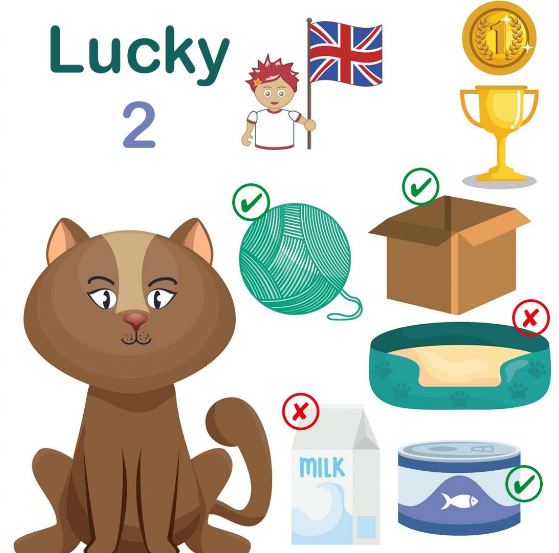 Speaking practice cards edvibelessons