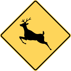Fileca