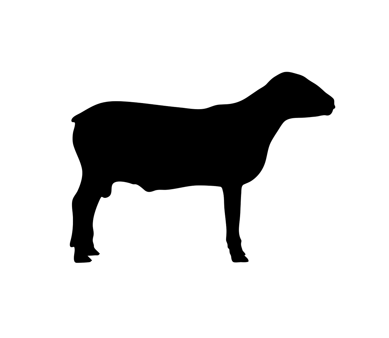 Free lamb vector art