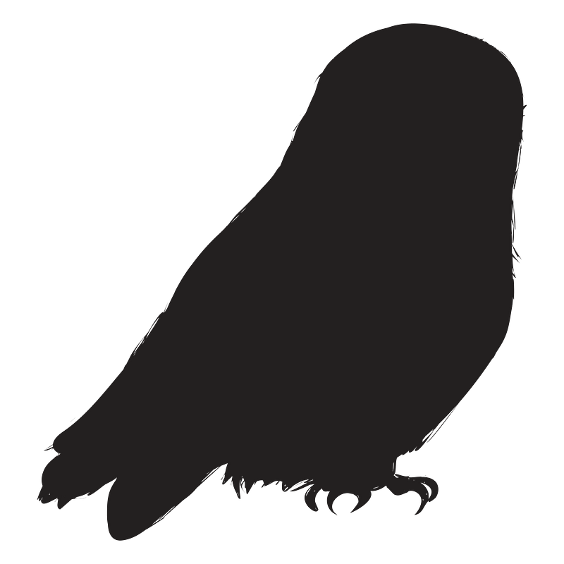 Owl art images free photos png stickers wallpapers backgrounds