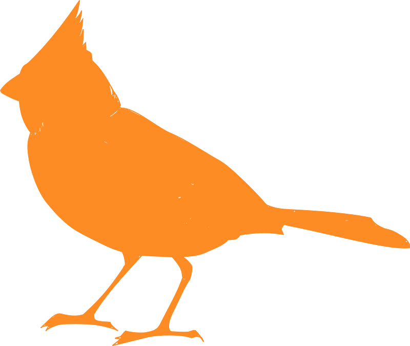 Cardinal silhouette
