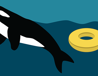 Orcas projects photos videos logos illustrations and branding on