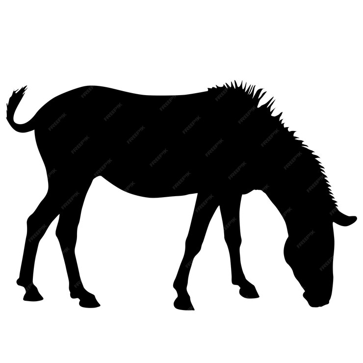 Premium vector silhouette african zebra on a white background white background african zebra
