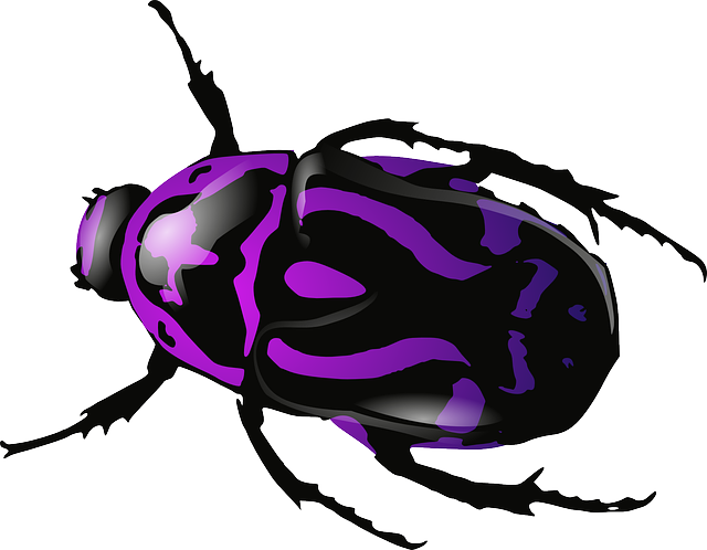 Free smooth vector art