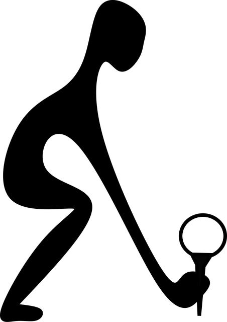 Carvit