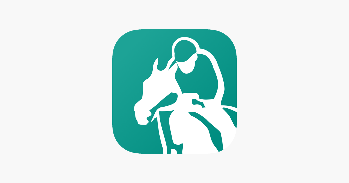 Horse racing tracker